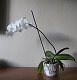 28. listopadu 2011 10:13:46