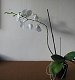 28. listopadu 2011 10:18:07