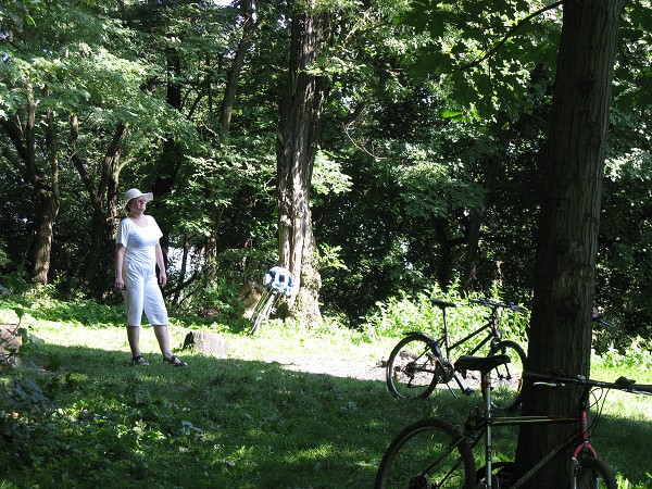 img00006.jpg
