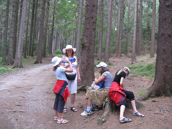 img00016.jpg