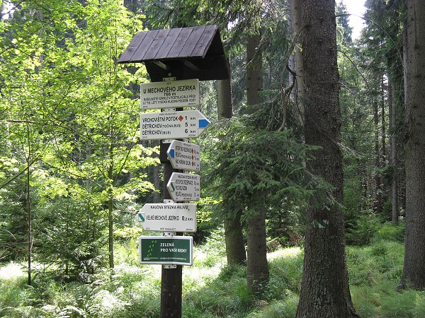 img00018.jpg