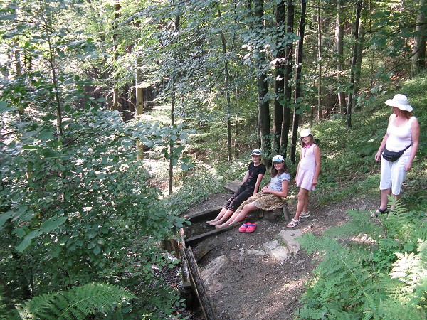 img00033.jpg
