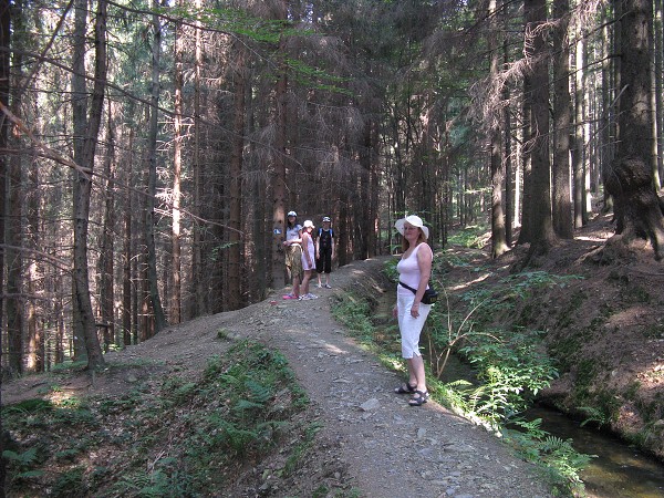 img00050.jpg