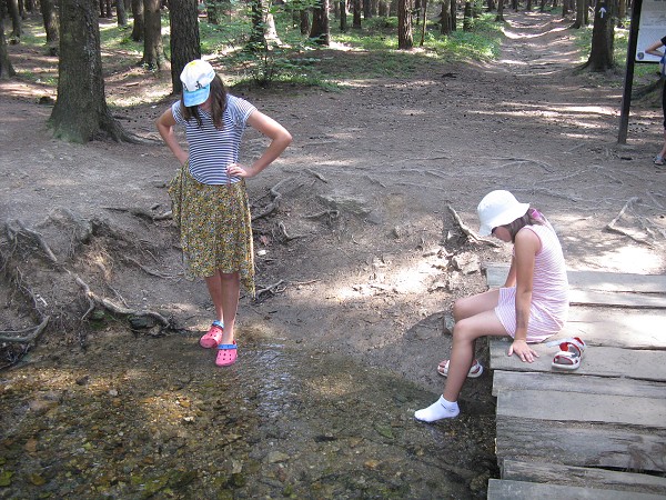 img00051.jpg