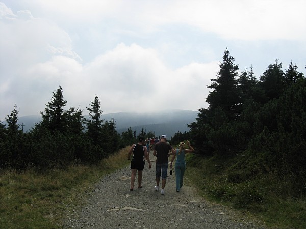 img00060.jpg