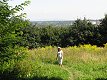 21. srpna 2011 15:21:35