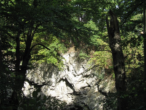 img00008.jpg