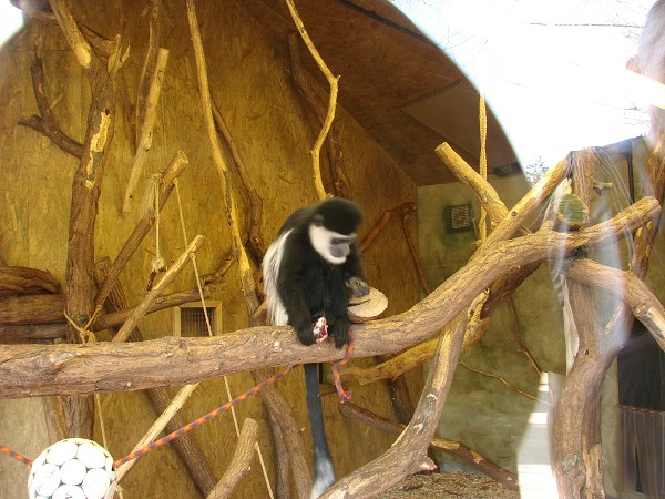 img00035.jpg