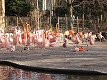 17. března 2012 16:31:51