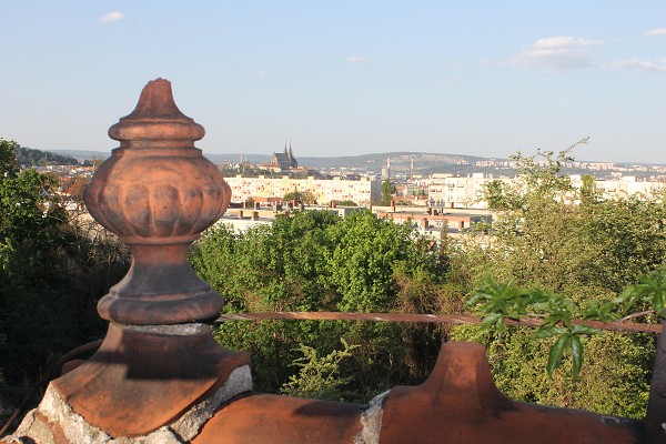 img00020.jpg