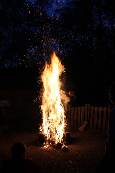 img00042.jpg