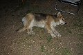30. dubna 2012 22:39:22