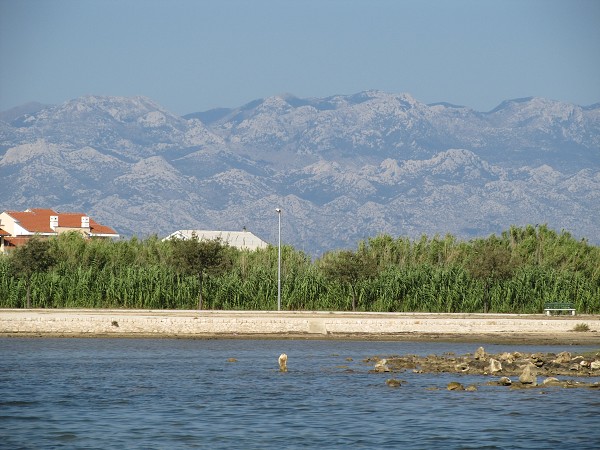 img00007.jpg