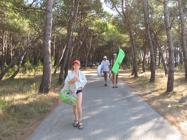 img00008.jpg