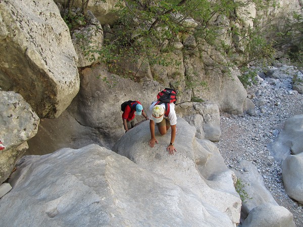 img00037.jpg