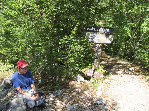 img00041.jpg