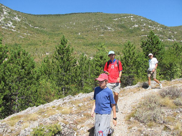 img00042.jpg