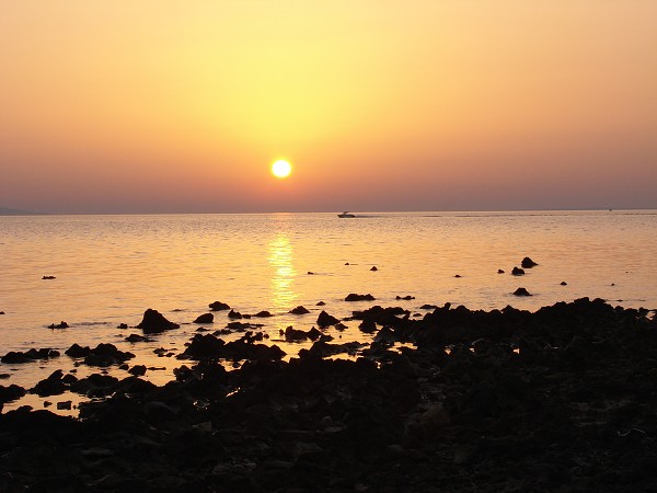 img00046.jpg
