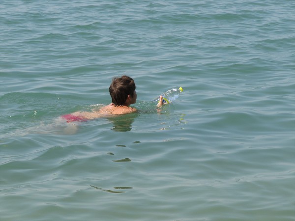 img00058.jpg