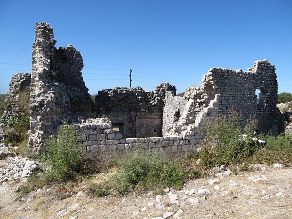img00090.jpg