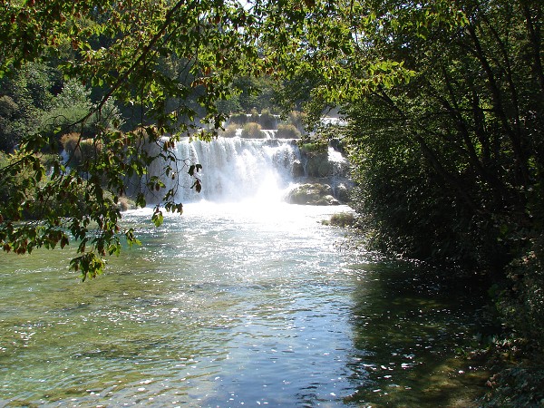 img00096.jpg