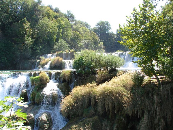 img00098.jpg