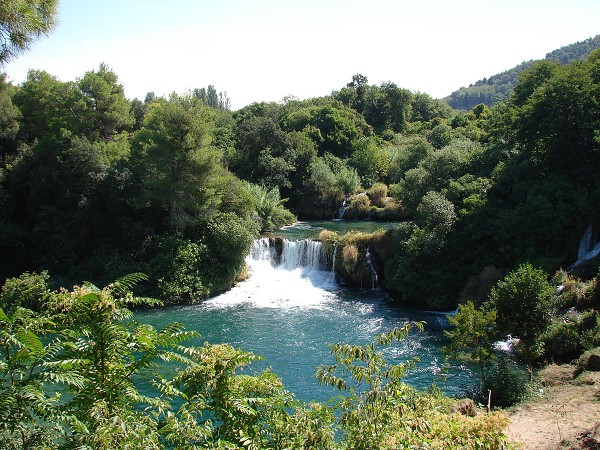 img00100.jpg