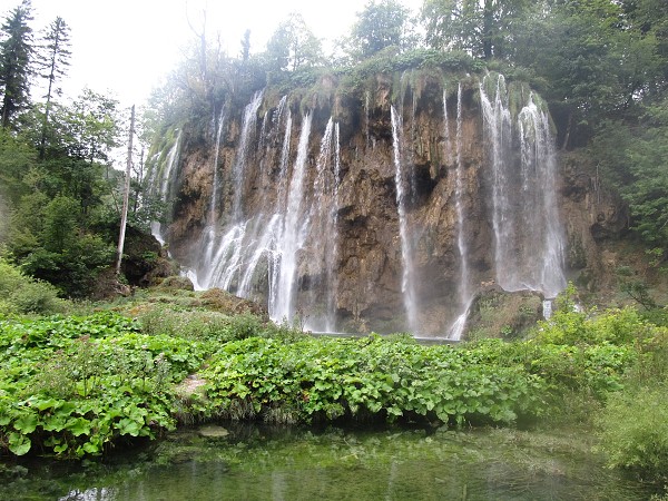 img00113.jpg