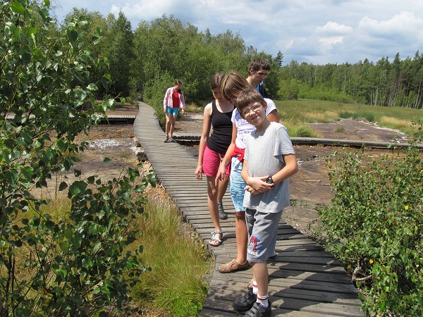 img00062.jpg