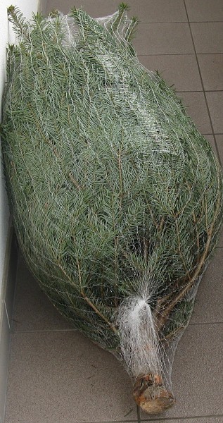 img00019.jpg