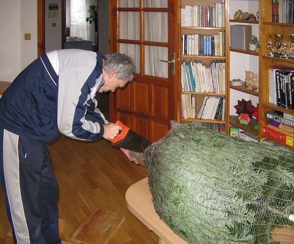 img00022.jpg