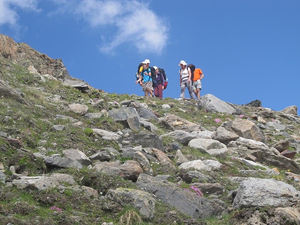 img00038.jpg