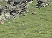 26. července 2013 9:56:01