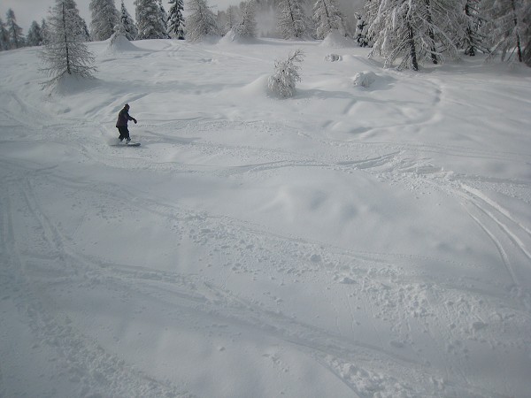 img00008.jpg