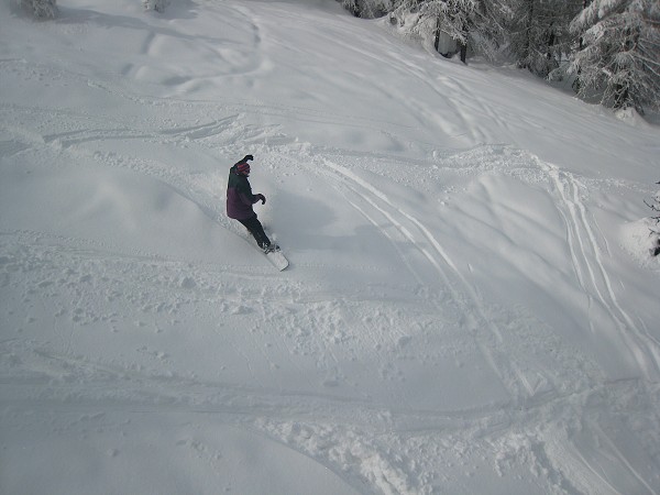 img00009.jpg
