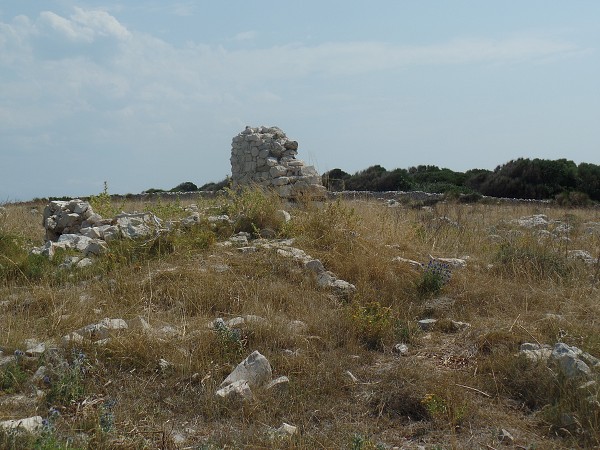 img00013.jpg