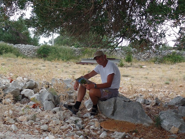 img00016.jpg