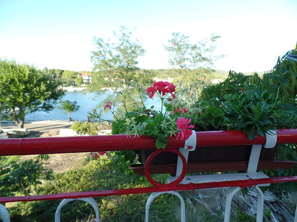 img00030.jpg