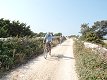 14. srpna 2015 9:08:50
