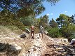 17. srpna 2015 13:49:15