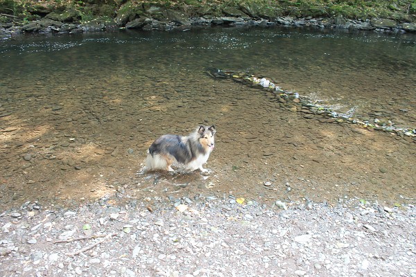 img00016.jpg