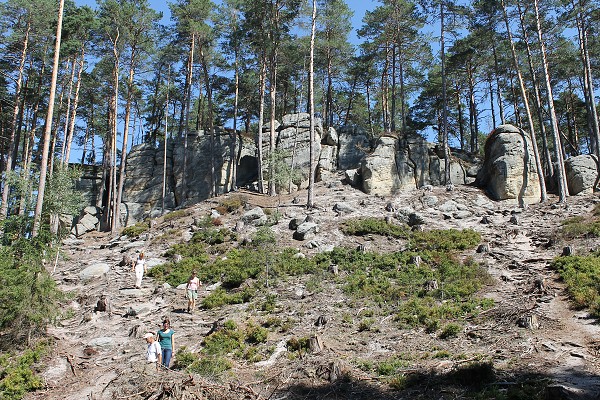 img00033.jpg