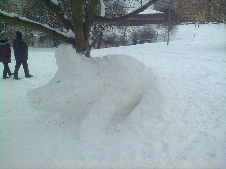 img00001.jpg