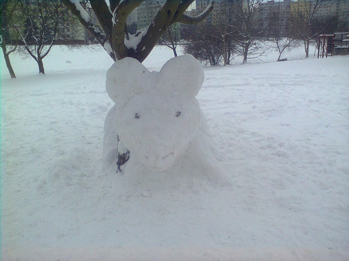 img00002.jpg