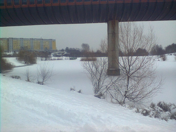 img00003.jpg