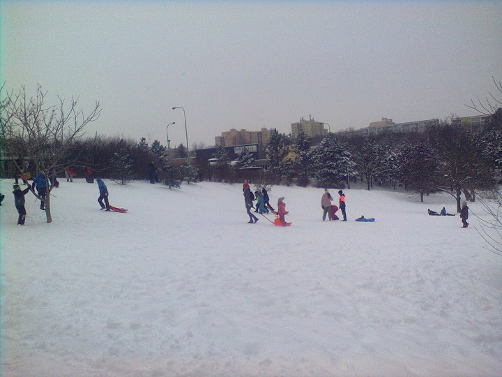 img00004.jpg