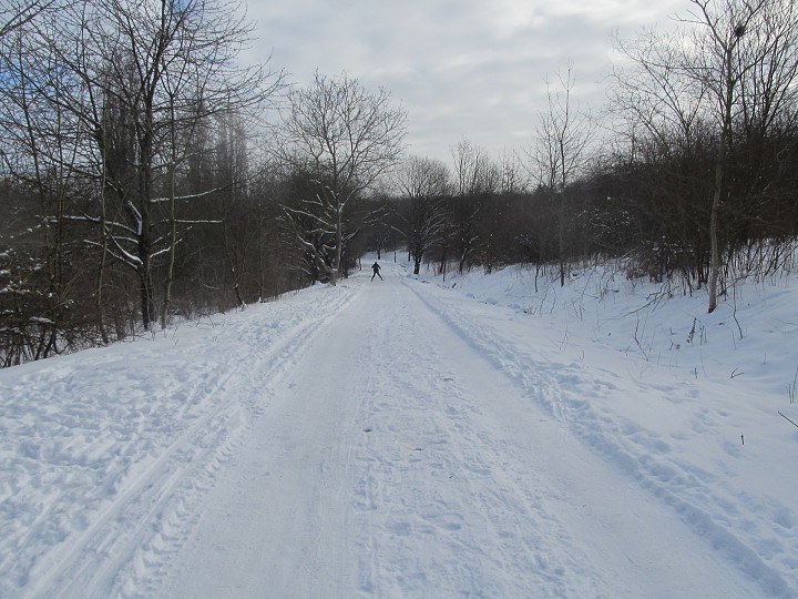 img00010.jpg