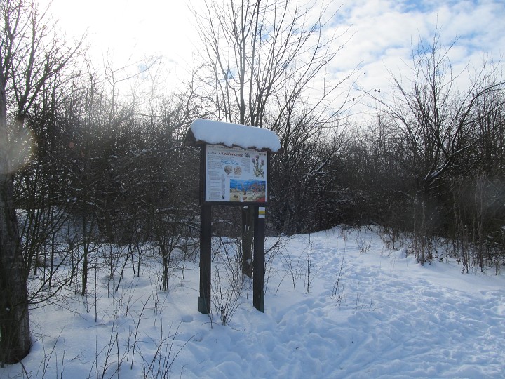 img00014.jpg