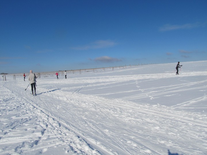 img00017.jpg