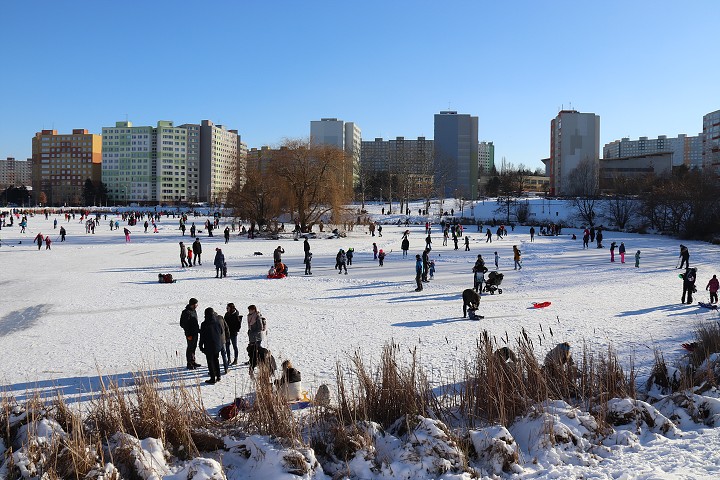 img00031.jpg
